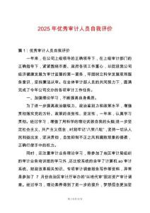 2025年優(yōu)秀審計(jì)人員自我評價(jià)