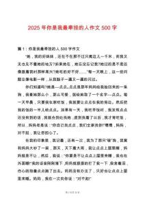 2025年你是我最牽掛的人作文500字