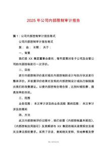 2025年公司內(nèi)部限制審計(jì)報(bào)告