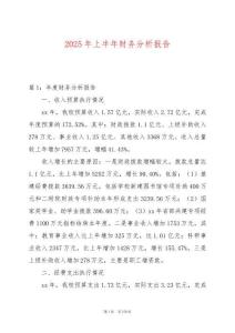 2025年上半年財務分析報告