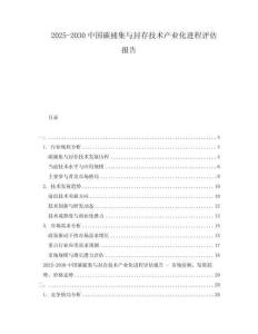 2025-2030中國碳捕集與封存技術產業化進程評估報告