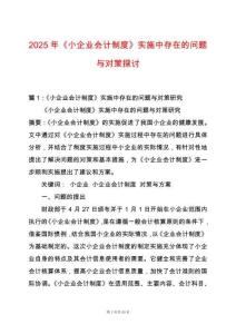 2025年《小企業會計制度》實施中存在的問題與對策探討
