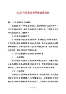 2025年企業(yè)法律風(fēng)險(xiǎn)自查報(bào)告