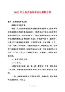 2025年業(yè)務(wù)員績(jī)效考核與薪酬方案