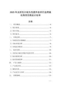2025年光伏瓦片耐久性提升技術行業(yè)跨境出海項目商業(yè)計劃書