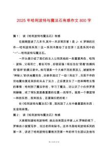 2025年哈利波特與魔法石有感作文800字