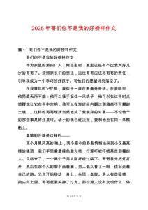 2025年哥們你不是我的好榜樣作文