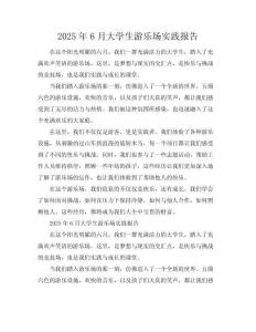 2025年6月大學(xué)生游樂場.實(shí)踐報告