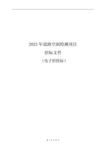 2023年西湖区道路空洞检测项目招标文件