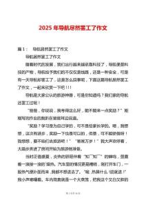 2025年導(dǎo)航盡然罷工了作文