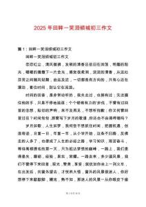 2025年回眸一笑淚傾城初三作文