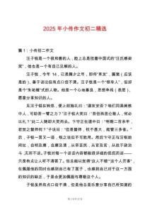 2025年小傳作文初二精選