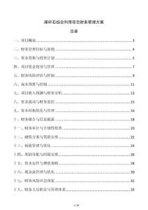 煤矸石綜合利用項(xiàng)目財(cái)務(wù)管理方案