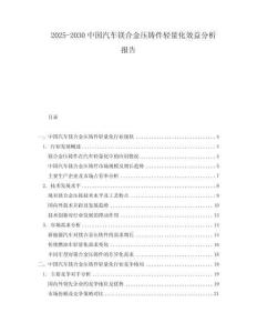 2025-2030中國(guó)汽車鎂合金壓鑄件輕量化效益分析報(bào)告