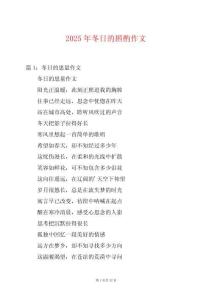 2025年冬日的斟酌作文