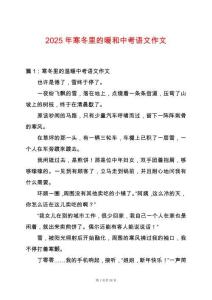 2025年寒冬里的暖和中考語文作文