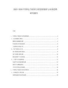 2025-2030中國電子商務行業發展現狀與未來趨勢研究報告