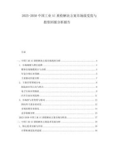 2025-2030中國工業AI質檢解決方案市場接受度與投資回報分析報告