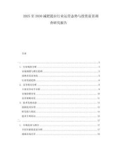 2025至2030減肥提拉行業運營態勢與投資前景調查研究報告