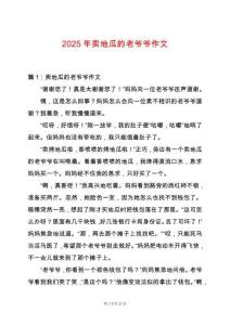 2025年賣地瓜的老爺爺作文