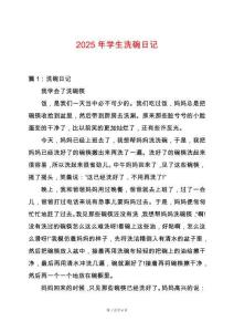 2025年學(xué)生洗碗日記