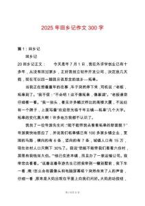 2025年回鄉記作文300字