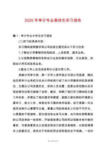 2025年審計專業高校生實習報告