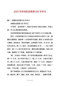 2025年好玩的田徑課500字作文