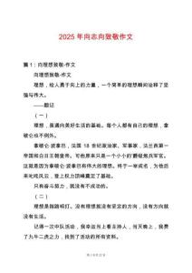 2025年向志向致敬作文