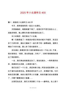 2025年小北湖作文400