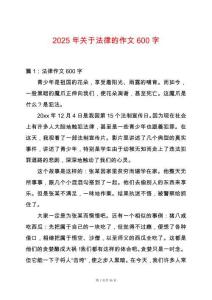 2025年關于法律的作文600字