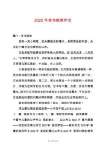 2025年多功能筆作文