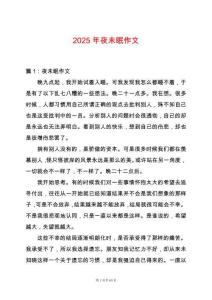 2025年夜未眠作文