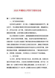 2025年嬉戲公司實習報告總結