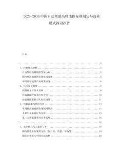 2025-2030中國自動駕駛高精地圖標(biāo)準(zhǔn)制定與商業(yè)模式探討報告