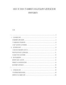 2025至2030手動棘輪行業運營態勢與投資前景調查研究報告