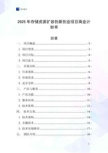 2025年存儲(chǔ)資源擴(kuò)容創(chuàng)新創(chuàng)業(yè)項(xiàng)目商業(yè)計(jì)劃書
