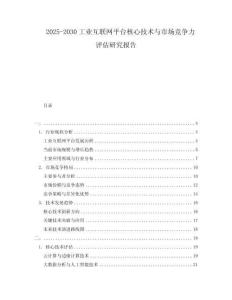 2025-2030工業(yè)互聯(lián)網(wǎng)平臺核心技術(shù)與市場競爭力評估研究報告