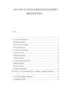 2025-2030電子化學(xué)品市場(chǎng)格局分析及技術(shù)創(chuàng)新與戰(zhàn)略發(fā)展研究報(bào)告