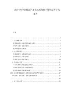 2025-2030新能源汽車電機(jī)系統(tǒng)技術(shù)迭代趨勢(shì)研究報(bào)告