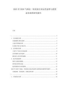 2025至2030氣相法二氧化鈦行業(yè)運(yùn)營(yíng)態(tài)勢(shì)與投資前景調(diào)查研究報(bào)告