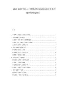 2025-2030中國人工智能芯片市場需求趨勢及供應(yīng)鏈風(fēng)險(xiǎn)研究報(bào)告