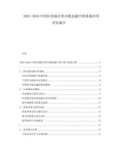 2025-2030中國區(qū)塊鏈在供應(yīng)鏈金融中的落地應(yīng)用評(píng)估報(bào)告