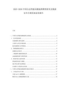2025-2030中國自動(dòng)駕駛高精地圖牌照壁壘及數(shù)據(jù)安全合規(guī)發(fā)展前景報(bào)告