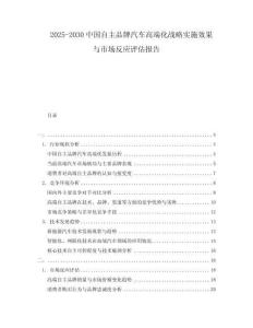 2025-2030中國自主品牌汽車高端化戰(zhàn)略實施效果與市場反應(yīng)評估報告