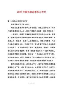 2025年固執(zhí)的追求初三作文