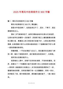 2025年寒風中的等候作文900字篇