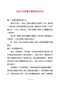 2025年寫遵交通規則的作文
