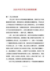 2025年關于風之谷的觀后感