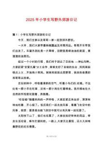 2025年小學生寫野外郊游日記